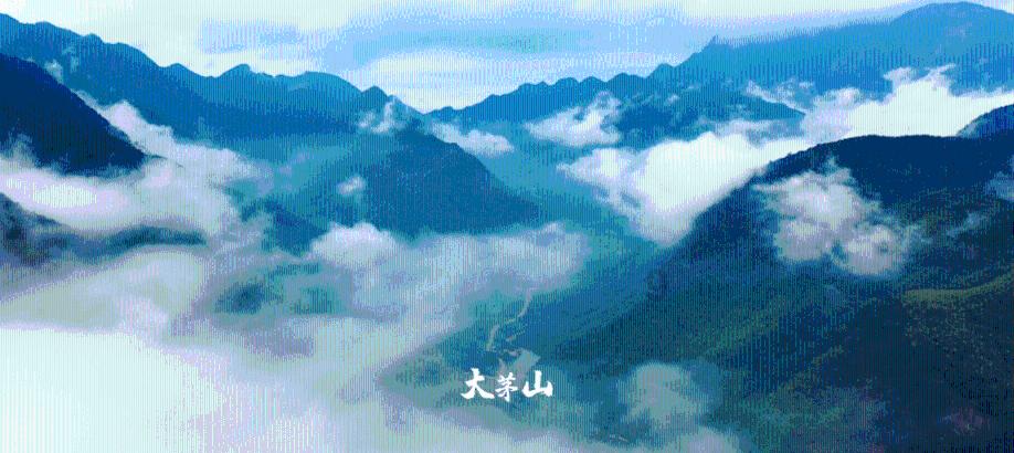 飞凡检测带您了解病毒灭活原理