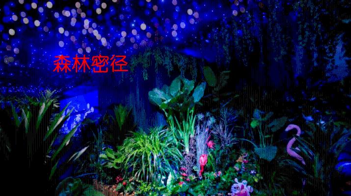 昨天刚被裁!前猛龙中锋科洛克患有血栓问题 危及篮球生涯